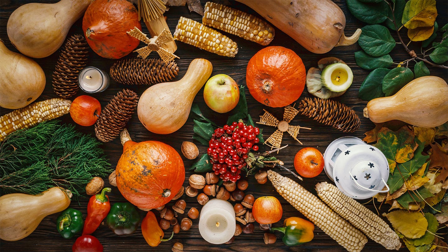 AdobeStock Sadonkorjuu