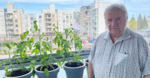 Jouko Syvajarvi Kasvattaa Tomaatteja Omalla Parvekkeella Saga Tammilinnassa