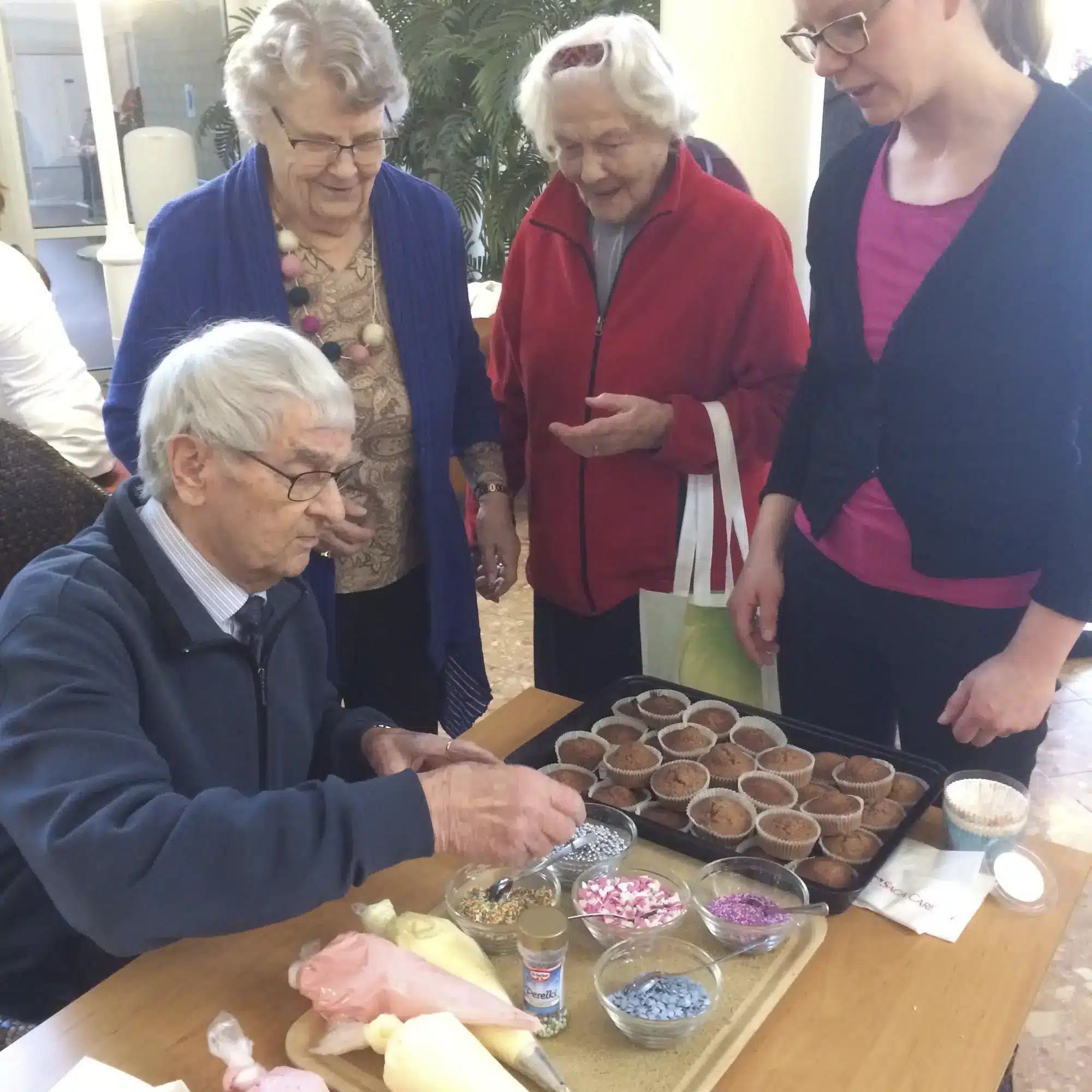 Cup cakes Saga Kaskenpuisto