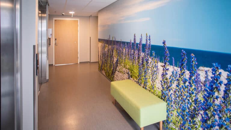 Muistitapetit Palvelutalo Saga Torilinna