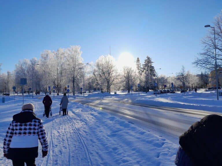Pientä pakkasta, auringon paistetta ja puissa kimalteleva peite.