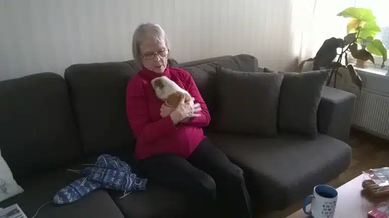 Saga Kanalinrannassa on hyvä olla