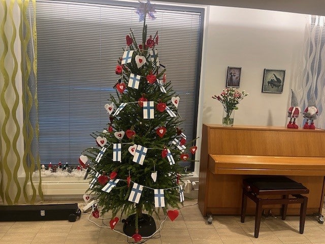 Hyvää joulua Saga Helapuistosta!